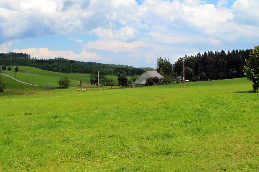 Ferienwohnung Schwarzwaldhof Titisee-Neustadt Esterno foto