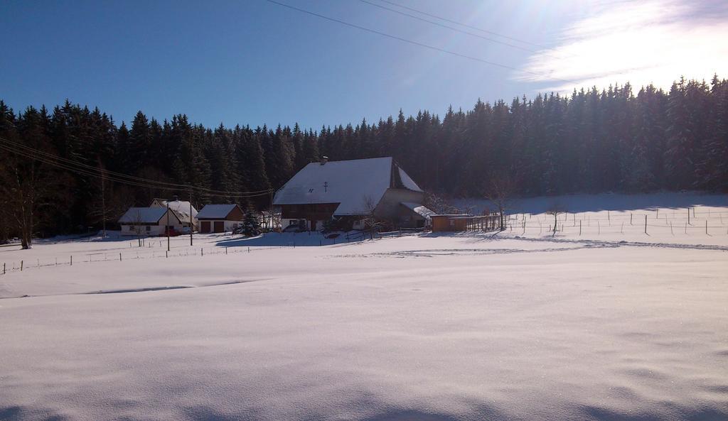 Ferienwohnung Schwarzwaldhof Titisee-Neustadt Esterno foto