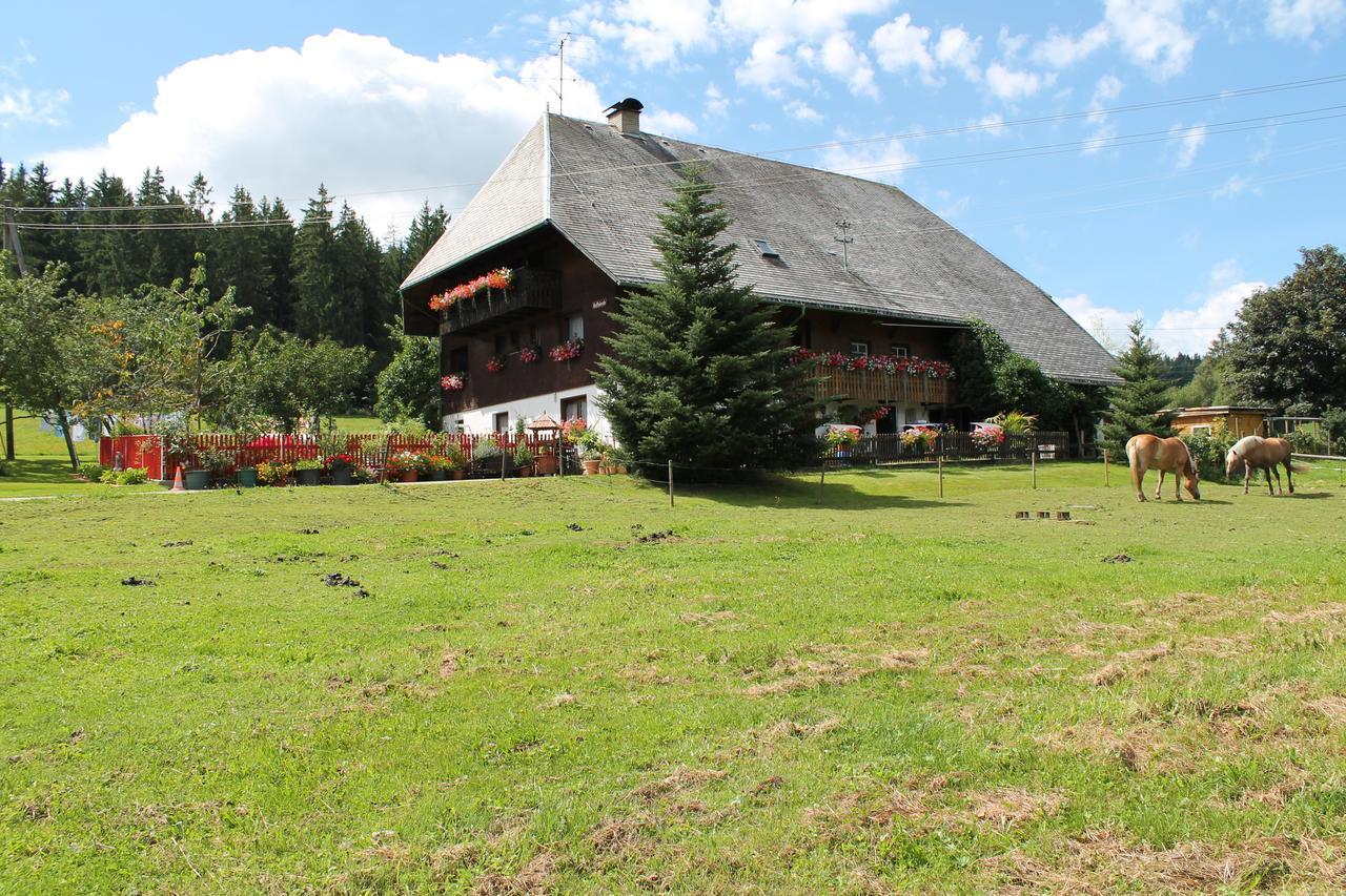 Ferienwohnung Schwarzwaldhof Titisee-Neustadt Esterno foto
