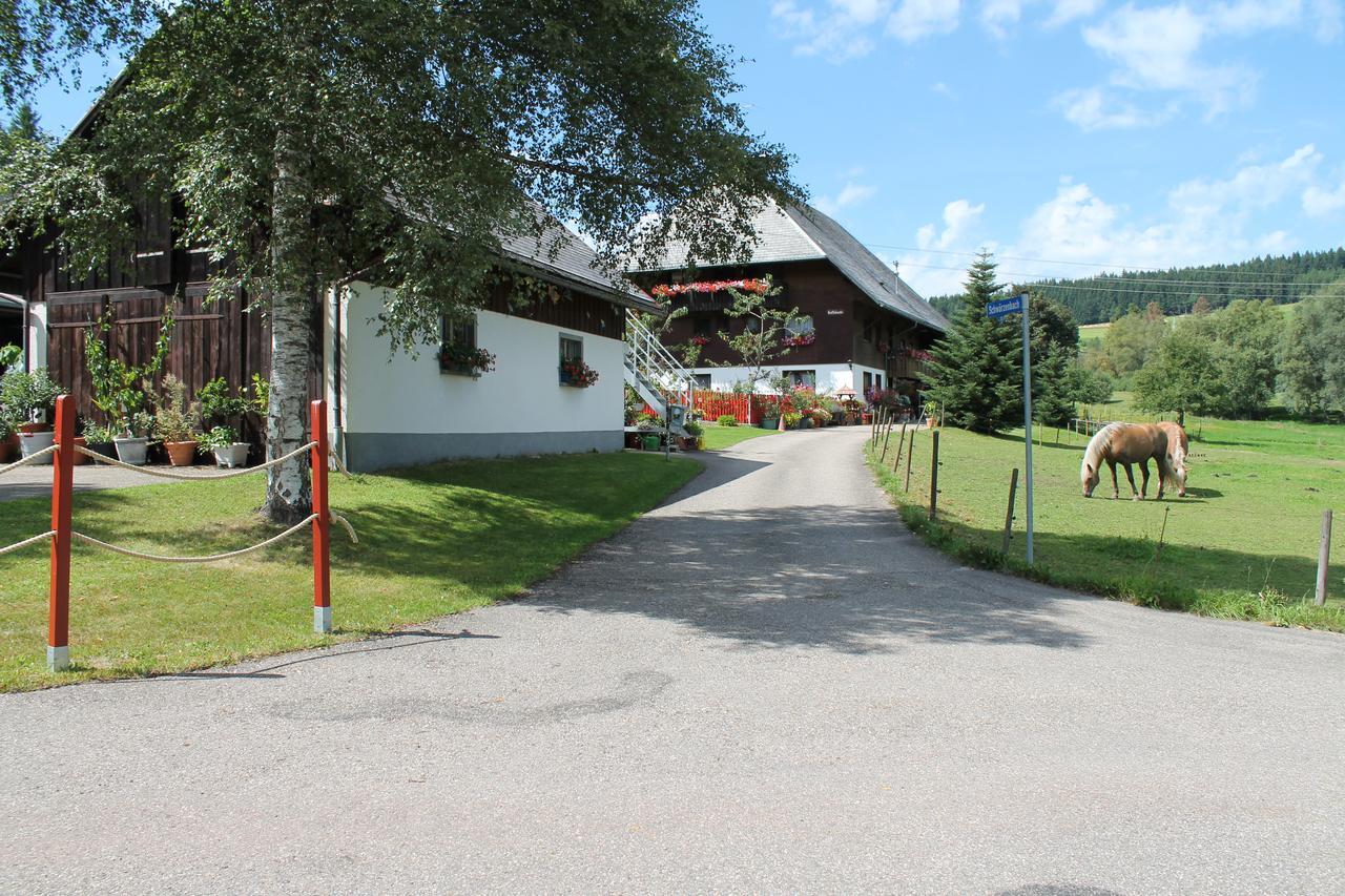 Ferienwohnung Schwarzwaldhof Titisee-Neustadt Esterno foto
