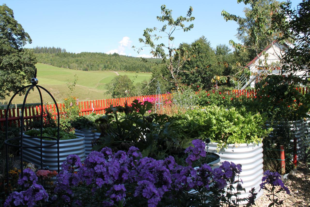 Ferienwohnung Schwarzwaldhof Titisee-Neustadt Esterno foto