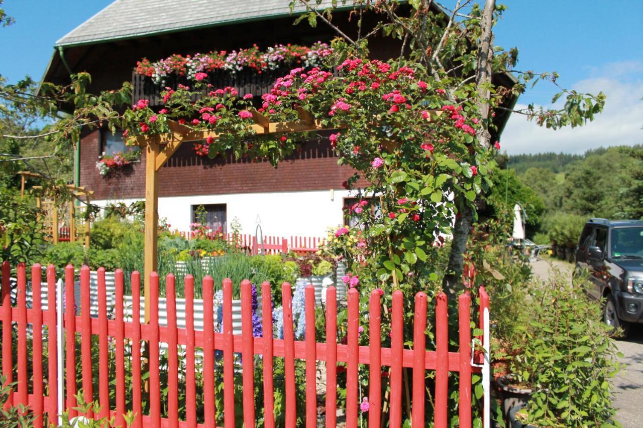 Ferienwohnung Schwarzwaldhof Titisee-Neustadt Esterno foto